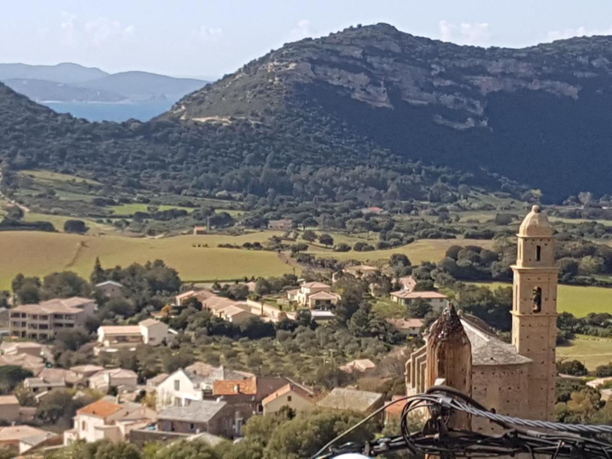 Appartement Bana Patrimonio